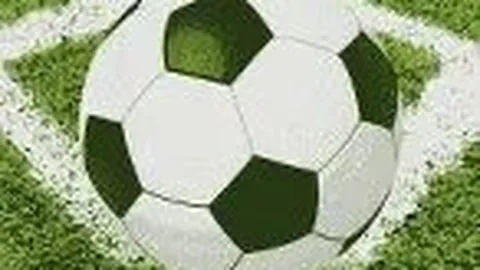 “2025年春节期间高速公路对小客车实施免费政策”