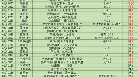 欧足联数据揭示：切尔西2024-25赛季前瞻分析